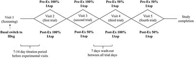 Improved Nocturnal Glycaemia and Reduced Insulin Use Following Clinical Exercise Trial Participation in Individuals With Type 1 Diabetes